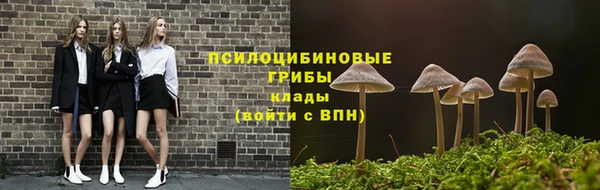 ALPHA PVP Гусь-Хрустальный
