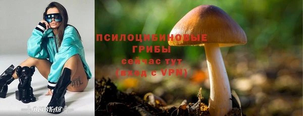 дживик Гусев