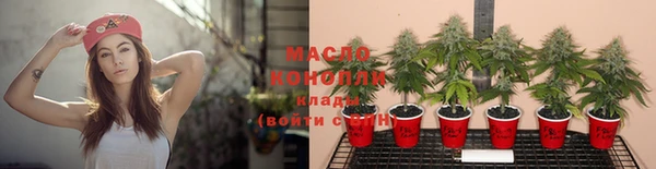 гидра Саяногорск