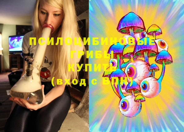 дживик Гусев