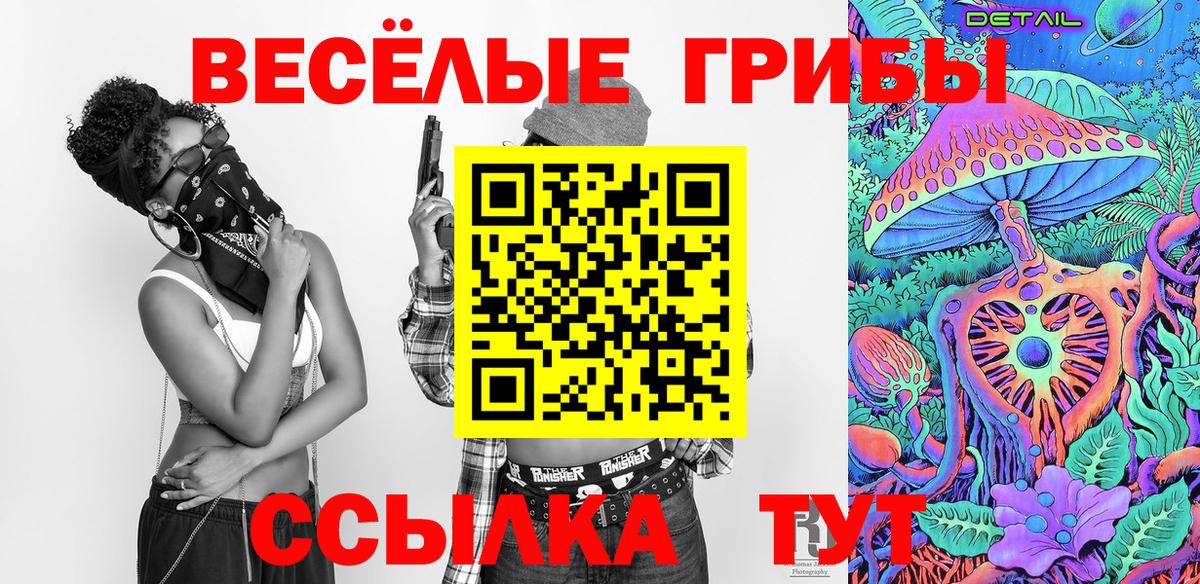Ейск  Псилоцибиновые грибы мухоморы  Вход с VPN 