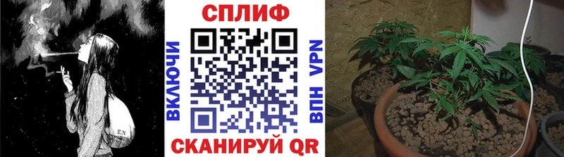 ОМГ ОМГ зеркало где продают наркотики Ейск Канабис SATIVA & INDICA